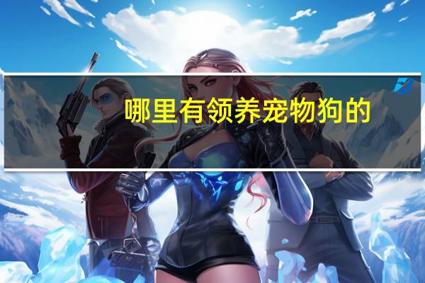 哪里有领养宠物狗的