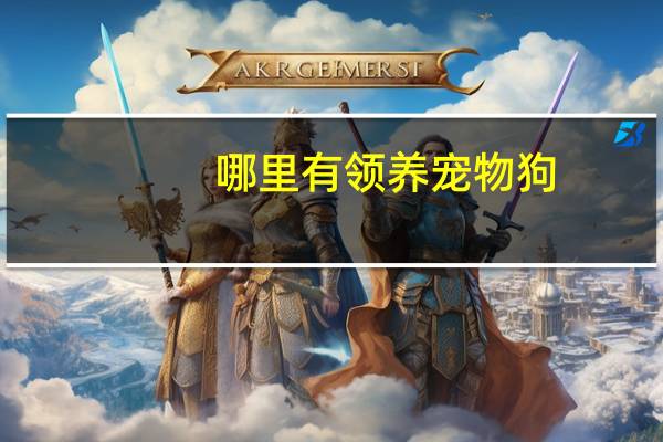 哪里有领养宠物狗