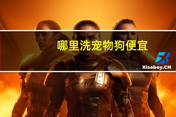 哪里洗宠物狗便宜