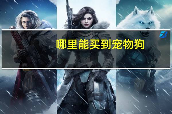 哪里能买到宠物狗