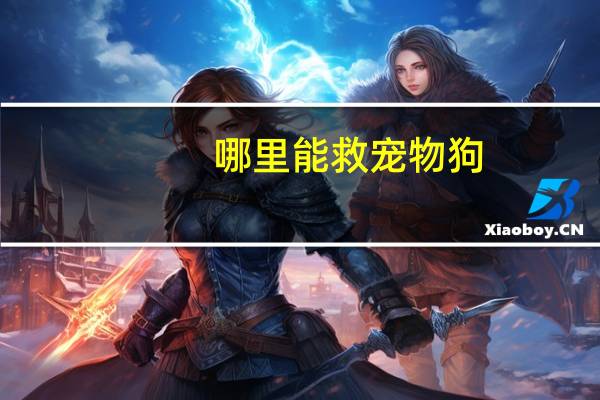 哪里能救宠物狗