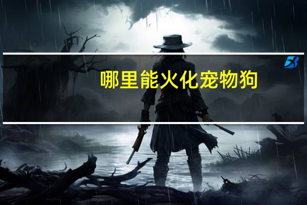 哪里能火化宠物狗