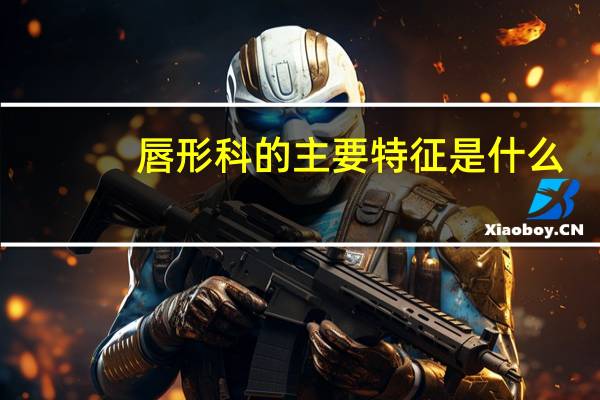 唇形科的主要特征是什么，举出该科常见的5种药用植物