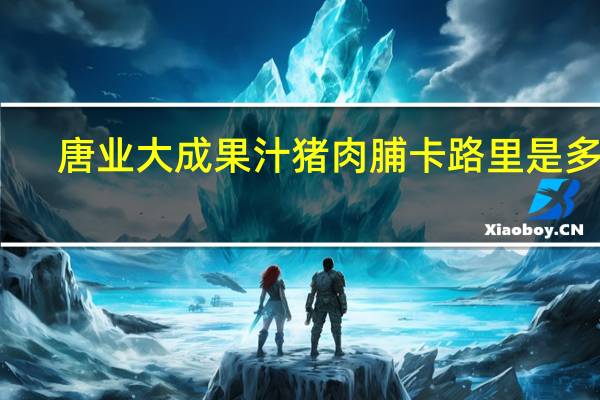 唐业大成 果汁猪肉脯卡路里是多少