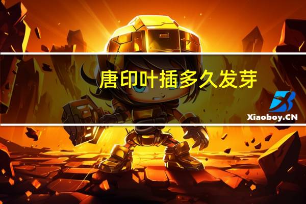 唐印叶插多久发芽