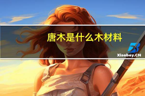 唐木是什么木材料（唐木是什么木材）