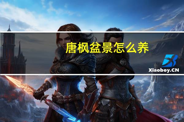 唐枫盆景怎么养