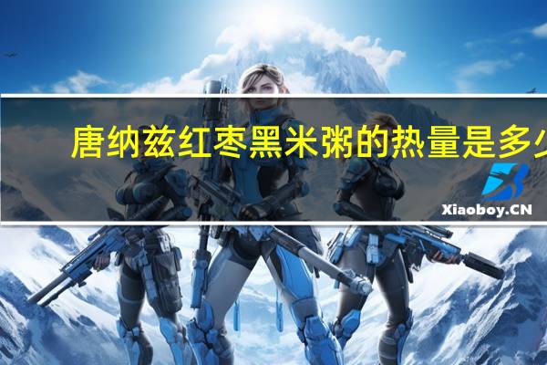 唐纳兹 红枣黑米粥的热量是多少