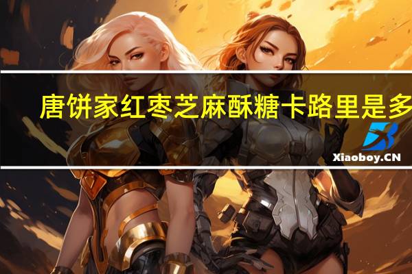 唐饼家 红枣芝麻酥糖卡路里是多少