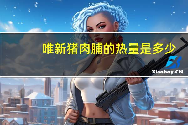 唯新猪肉脯的热量是多少