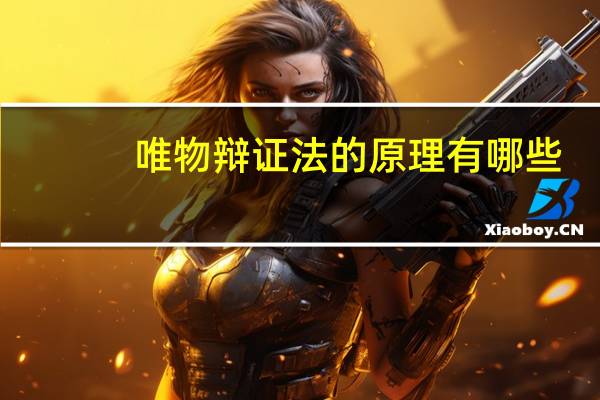 唯物辩证法的原理有哪些