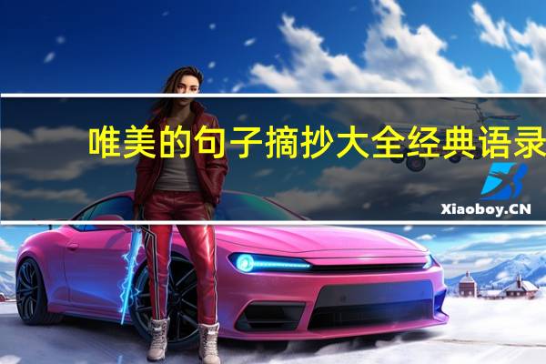 唯美的句子摘抄大全经典语录（唯美的句子摘抄大全）