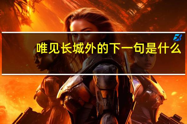 唯见长城外的下一句是什么