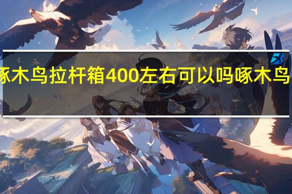 啄木鸟拉杆箱400左右可以吗 啄木鸟拉杆箱