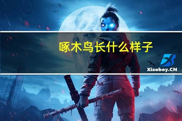 啄木鸟长什么样子