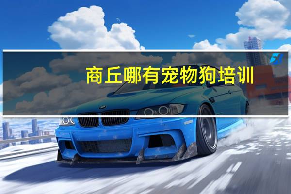 商丘哪有宠物狗培训