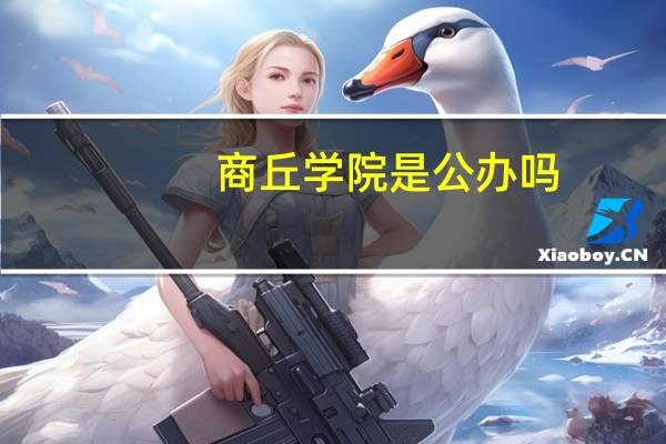 商丘学院是公办吗
