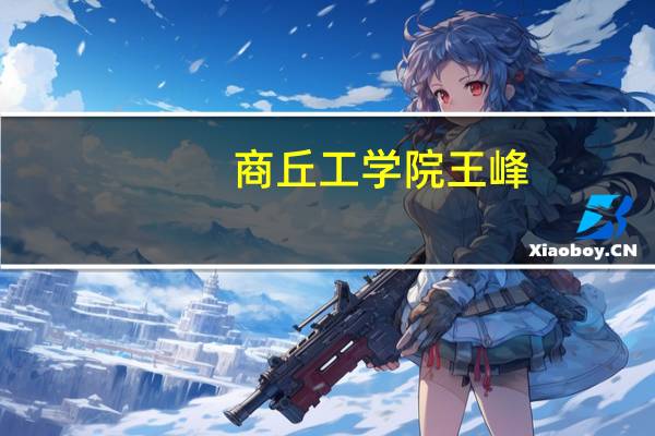商丘工学院王峰（商丘工学院代码）