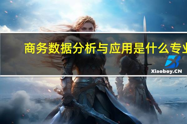 商务数据分析与应用是什么专业
