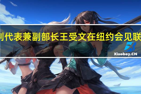 商务部国际贸易谈判代表兼副部长王受文在纽约会见联合国相关发展机构负责人