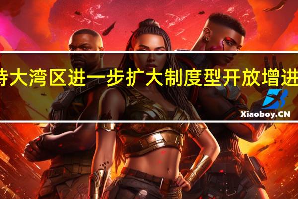 商务部将支持大湾区进一步扩大制度型开放增进数字贸易领域合作