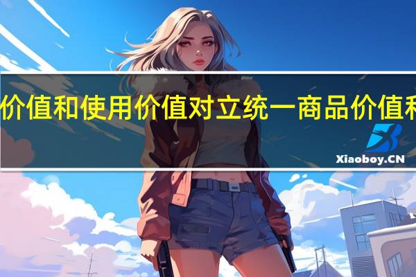 商品价值和使用价值对立统一 商品价值和使用价值