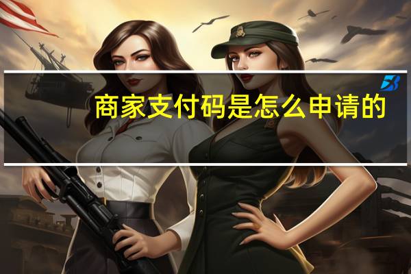 商家支付码是怎么申请的