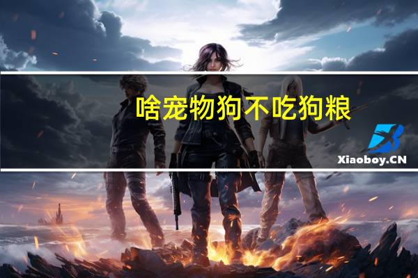 啥宠物狗不吃狗粮