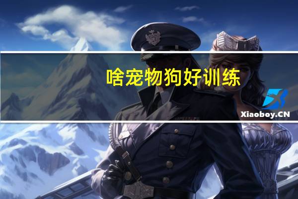 啥宠物狗好训练