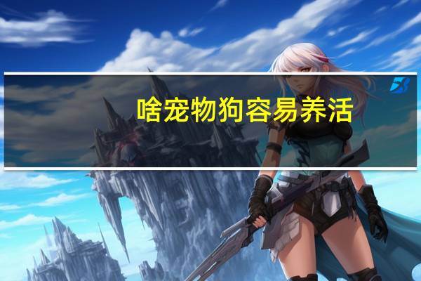 啥宠物狗容易养活