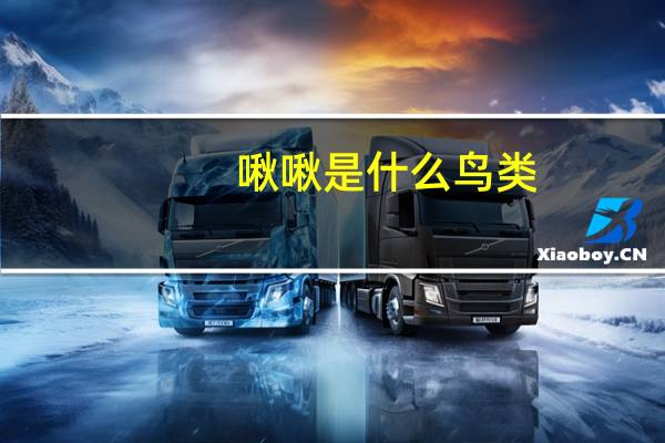 啾啾是什么鸟类（啾啾是什么意思）