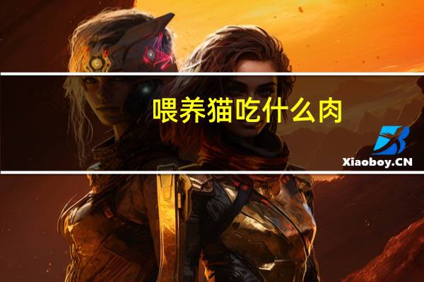 喂养猫吃什么肉