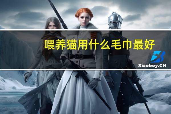喂养猫用什么毛巾最好