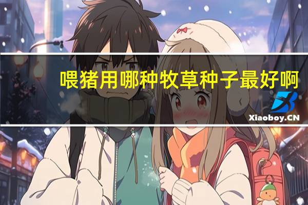 喂猪用哪种牧草种子最好啊