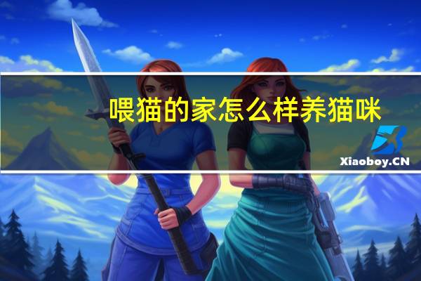 喂猫的家怎么样养猫咪
