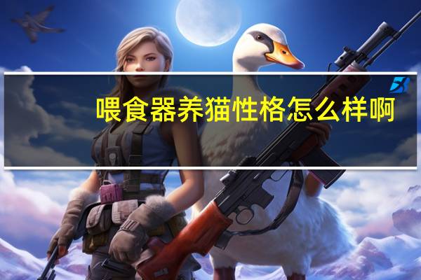 喂食器养猫性格怎么样啊