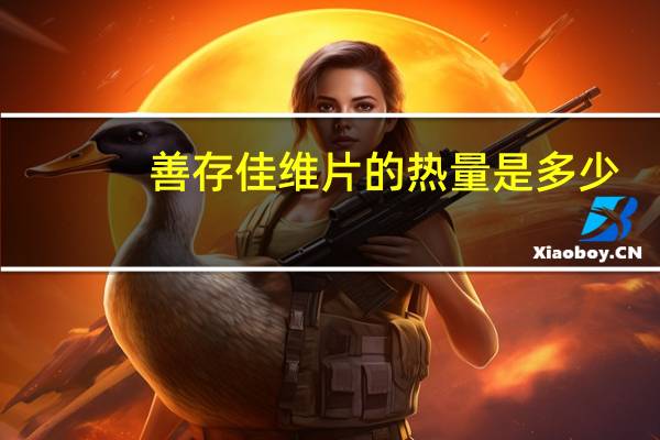 善存 佳维片的热量是多少