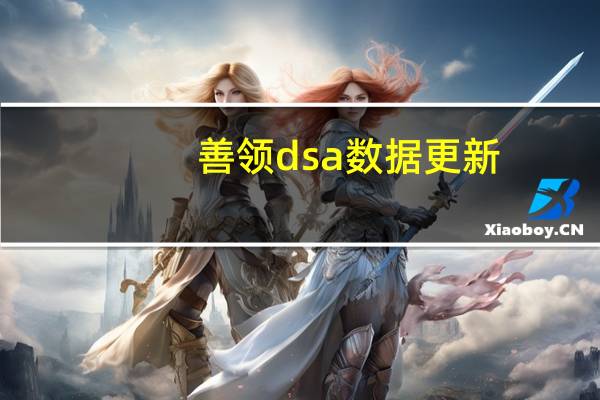 善领dsa数据更新（善领dsa数据升级）