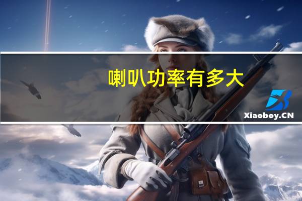 喇叭功率有多大