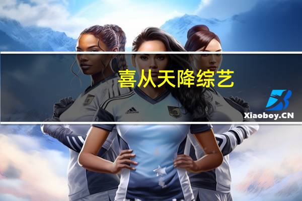 喜从天降综艺（关于喜从天降综艺的介绍）