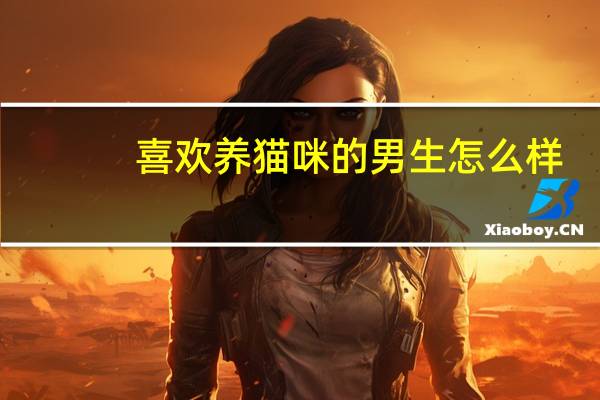 喜欢养猫咪的男生怎么样