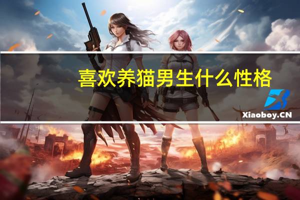 喜欢养猫男生什么性格