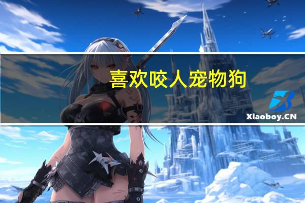 喜欢咬人宠物狗