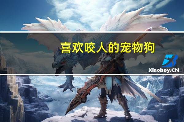 喜欢咬人的宠物狗