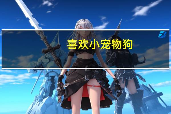 喜欢小宠物狗