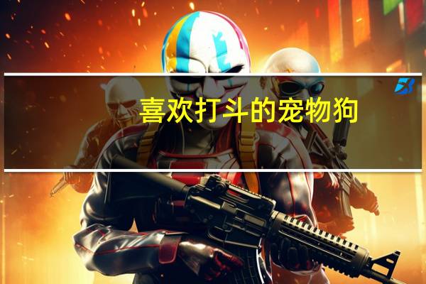 喜欢打斗的宠物狗