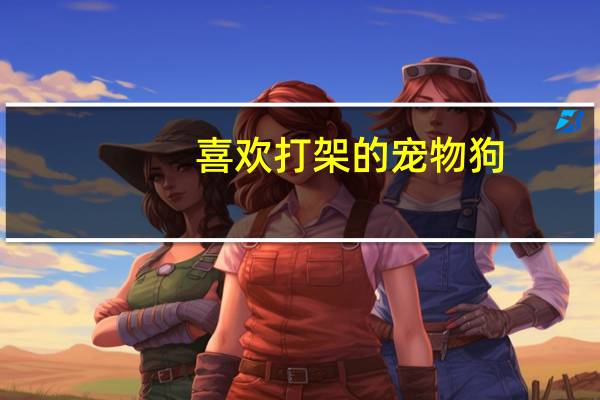 喜欢打架的宠物狗