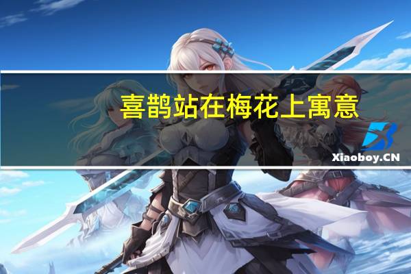 喜鵲站在梅花上寓意（喜鵲寓意）