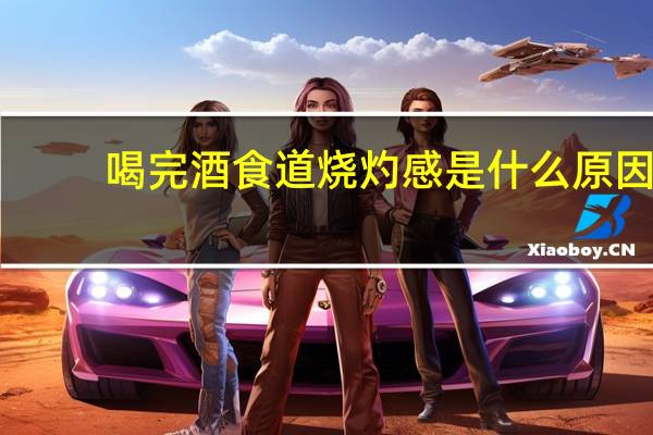 喝完酒食道烧灼感是什么原因(食道烧灼感是什么原因)