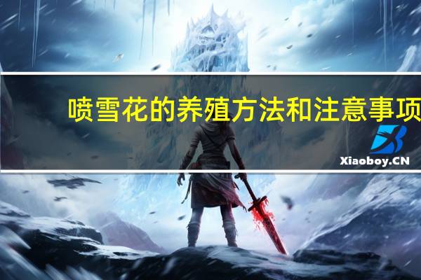 喷雪花的养殖方法和注意事项